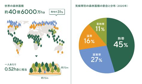 木動物|森林生物情報データ一覧